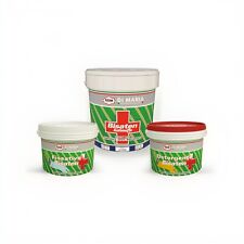 Ciclo Pittura per interni