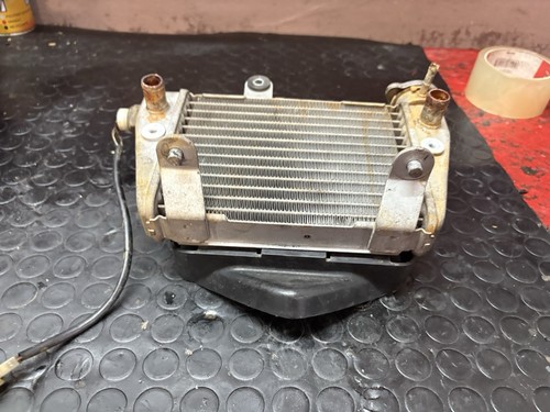 Radiatore acqua suzuki - ,