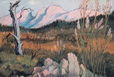 LA BUONA STAGIONE - Remo Branca, Cartolina