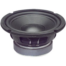 NEW 6.5" Woofer Speaker Home