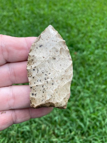 Bellissima lama paleo - , grande