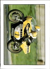 figurina i grandi campioni