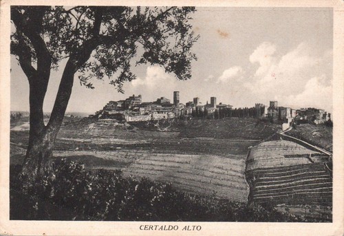 Firenze certaldo alto panorama - alto,
