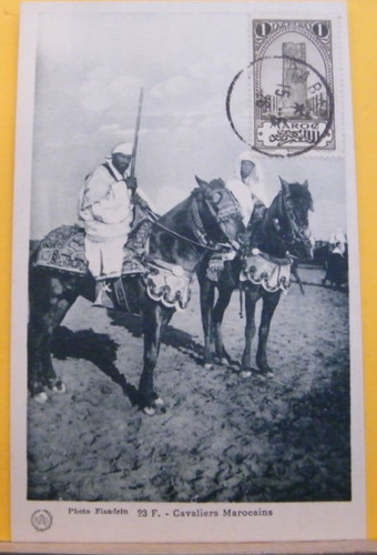 Art425 marocco cavaliere - art425),