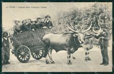 Siena Città Costumi Carro con Buoi cartolina WX1331