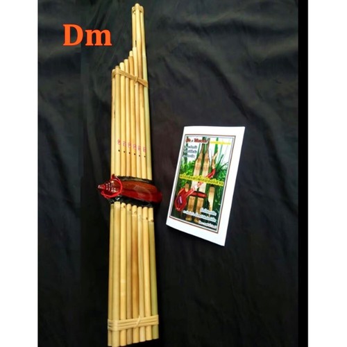 Lao reed mouthorgan khaen - reed,