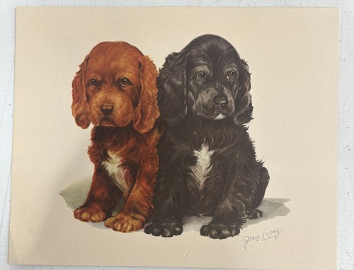 Vintage cocker spaniel - vintage,
