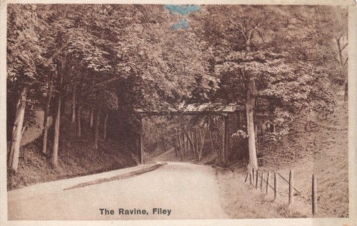 Postcard filey the ravine - -,