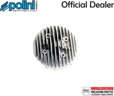 TESTA POLINI MODELLO EVOLUTION