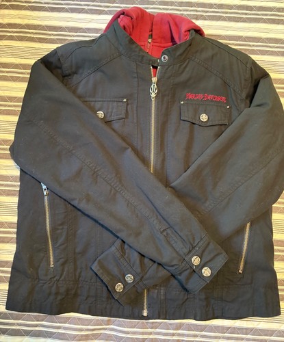 Harley davidson donna 1 - davidson,