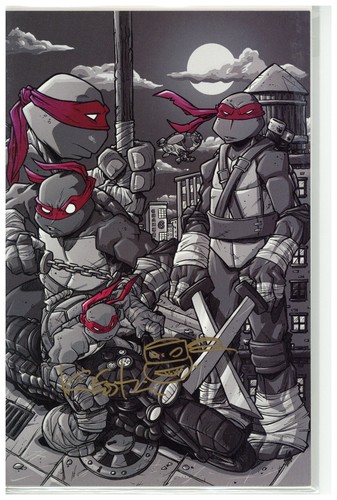 Teenage mutant ninja turtles - teenage,