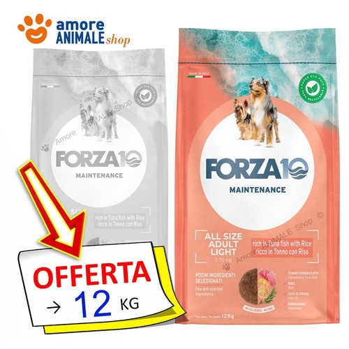 Forza10 dog maintenance - maintenance, →