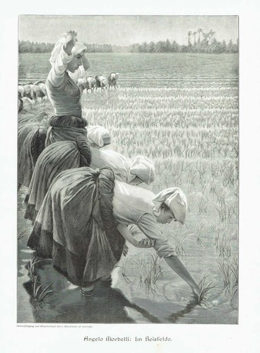 Angelo morbelli in - angelo, "