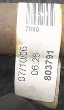 46307890 Semialbero ant
