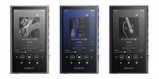 Sony Walkman A Series NW-A306