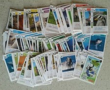 RACCOLTA COMPLETA DI 144 CARDS