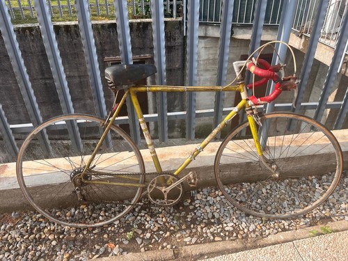Coppia biciclette legnano - coppia,