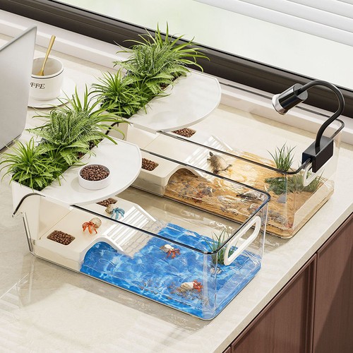 Turtle tank terrario - turtle,