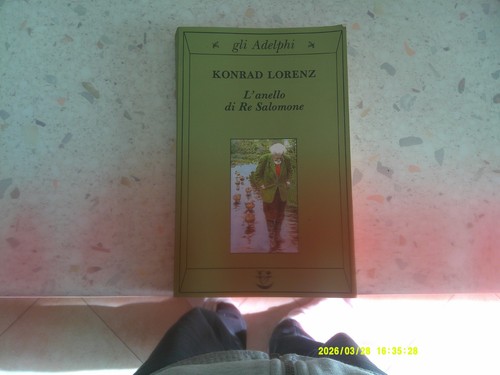 Lorenz anello re - lorenz,