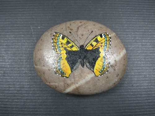 Farfalla artistica vintage