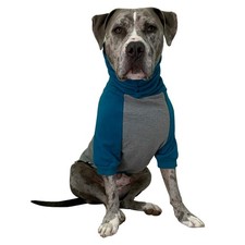 Pitbull Dog Sweater - Teal & Grey (X Large)
