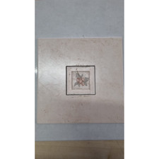 DECORO AURORA ACIF 20X20