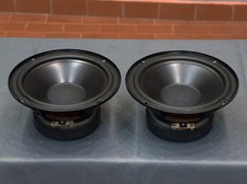 Coppia midwoofer peerless - midwoofer,