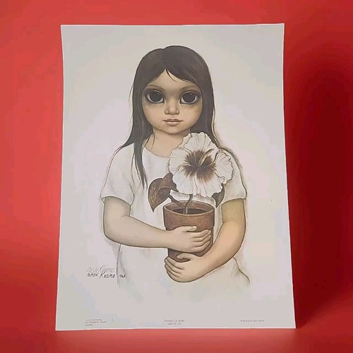 Hibiscus miss big eyes - eyes, girl
