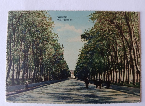 Cartolina caserta viale - cartolina,