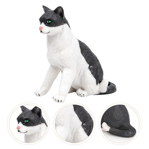Giochini gatto cucciolo - ,