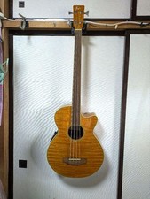 Basso Elettrico Acustico Zenn ZB22CE-FL Fretless Naturale con Custodia Morbida