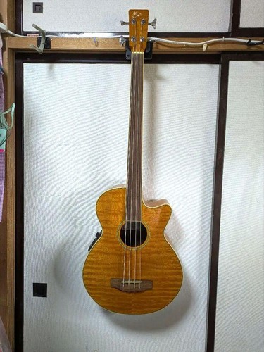 Basso elettrico acustico zenn - acustico,