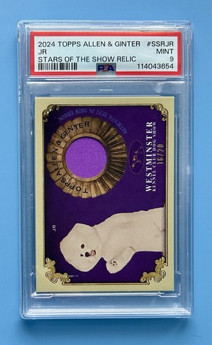 2024 topps allen ginter - allen,