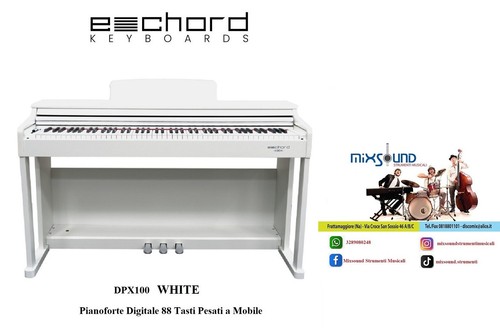 Echord dpx100 satin white - echord,