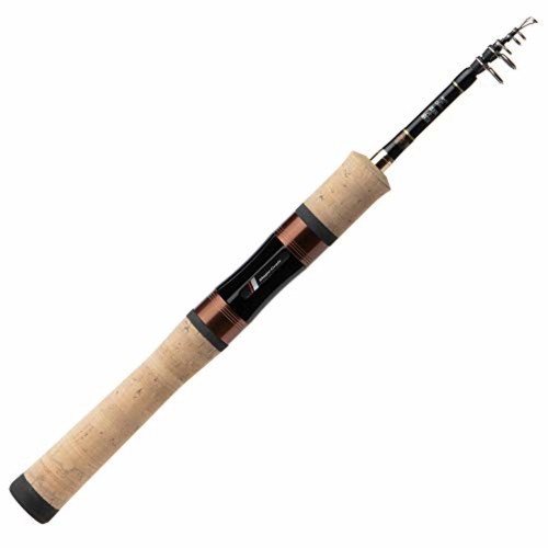 Canna spinning telescopica - canna, da