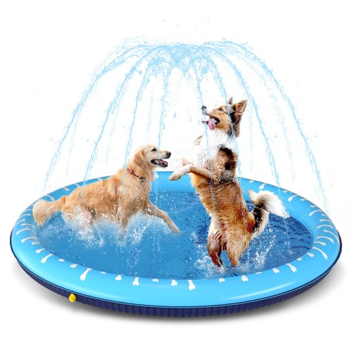 Piscina per cani - piscina,