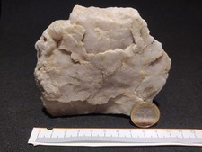 Pietre E Minerali. 🔮 QUARZO BIANCO LATTE Sardegna  ENERGIA MILLENARIA