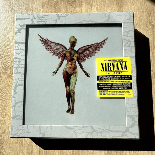 Nirvana utero 30th - nirvana, in