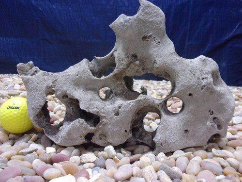 Texas holey rock - texas/tn,