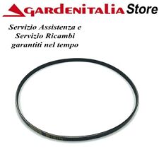Cinghia di Ricambio