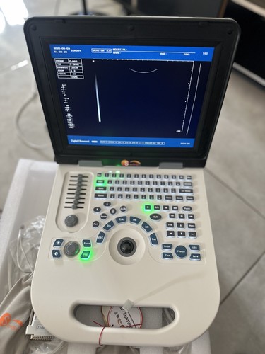 Ecografia medica portatile