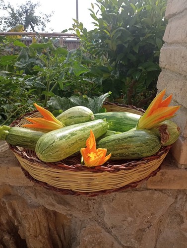 Cestino vimini naturale - in, |
