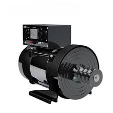 Gruppo elettrogeno benzina