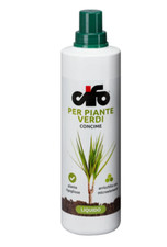 CONCIME PER PIANTE VERDI FICUS