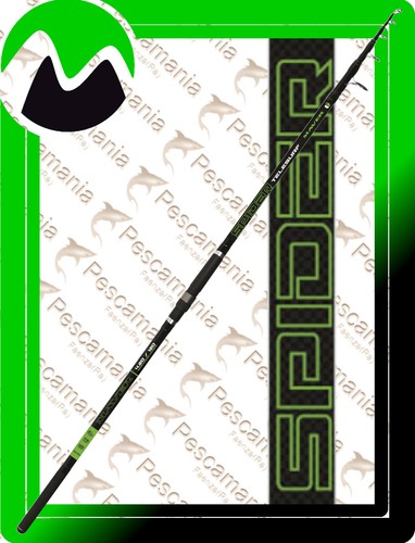 Canna maver spider - canna,