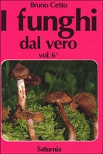 Funghi dal vero - funghi,