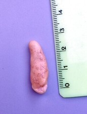 ► URSUS SPELAEUS  CM 2.93