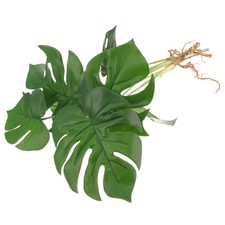  Piante Interno Decorazione