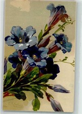 39911112 - Genziana G.O.M