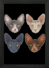 Sphynx gatto regalo per uomo
